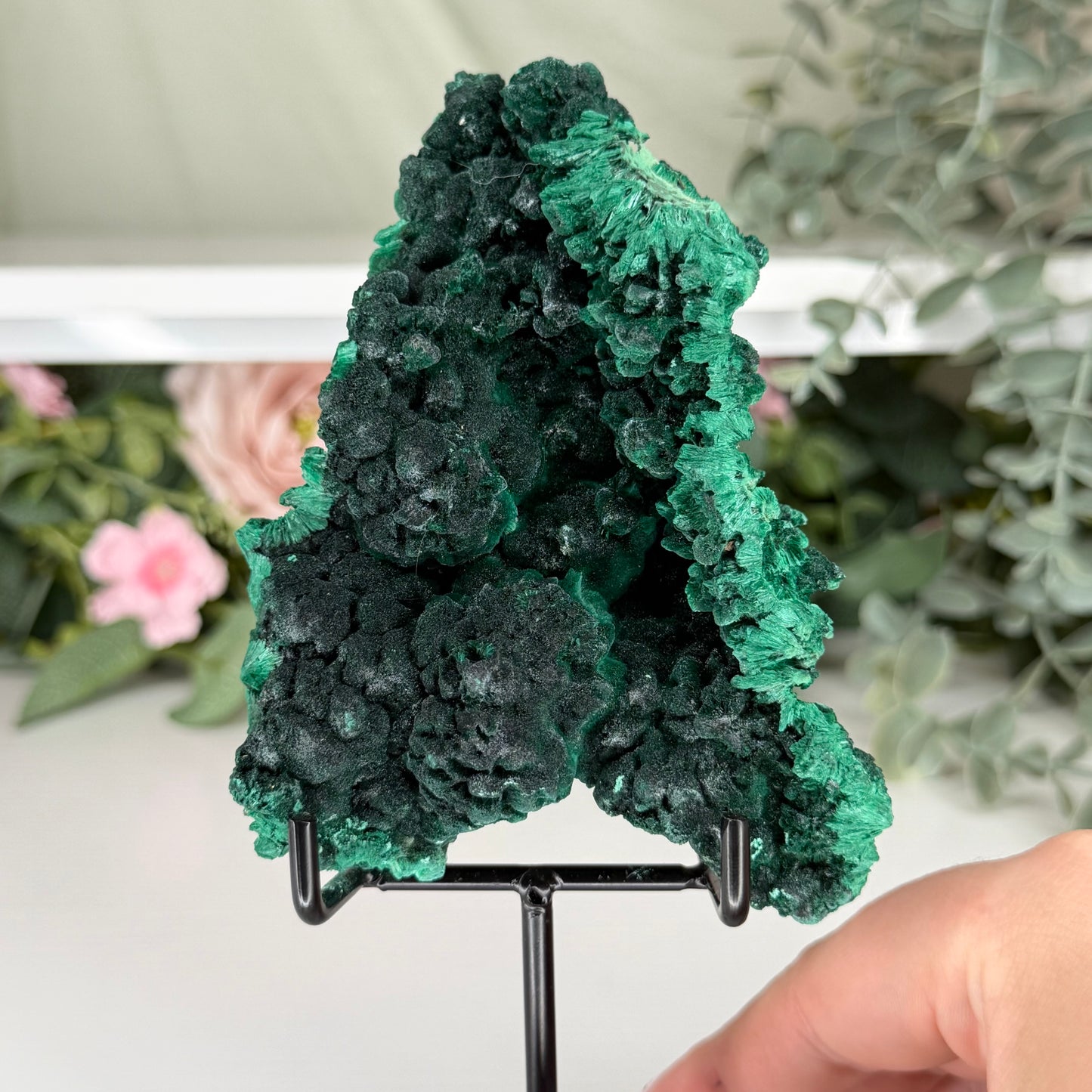 Velvet Malachite With Stand