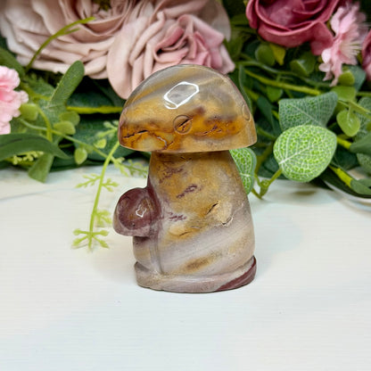 Polychrome Jasper Mushy