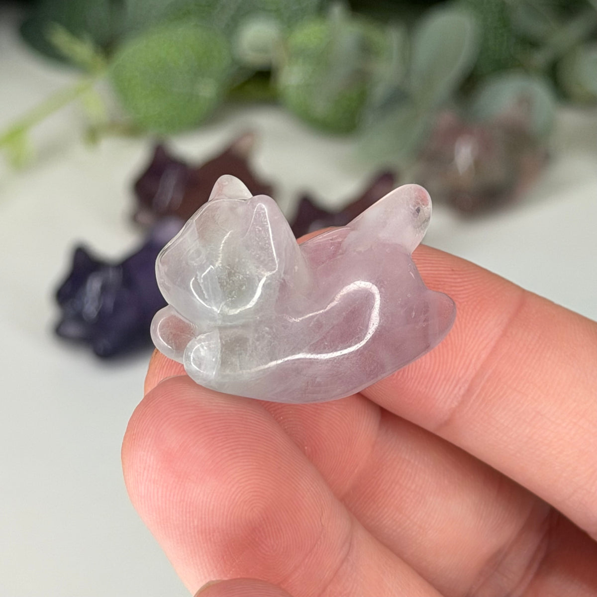 Fluorite Rocking Kitty