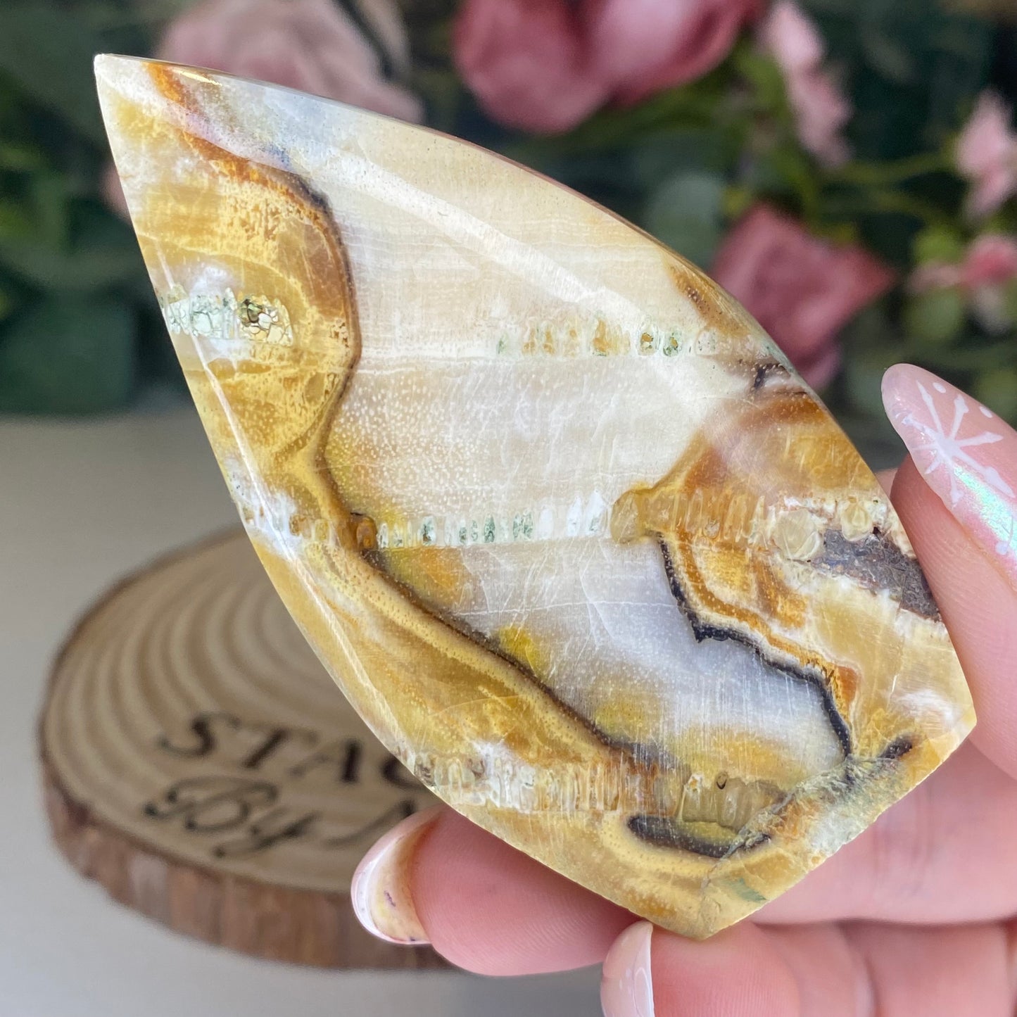 Petrified Wood Teardrops