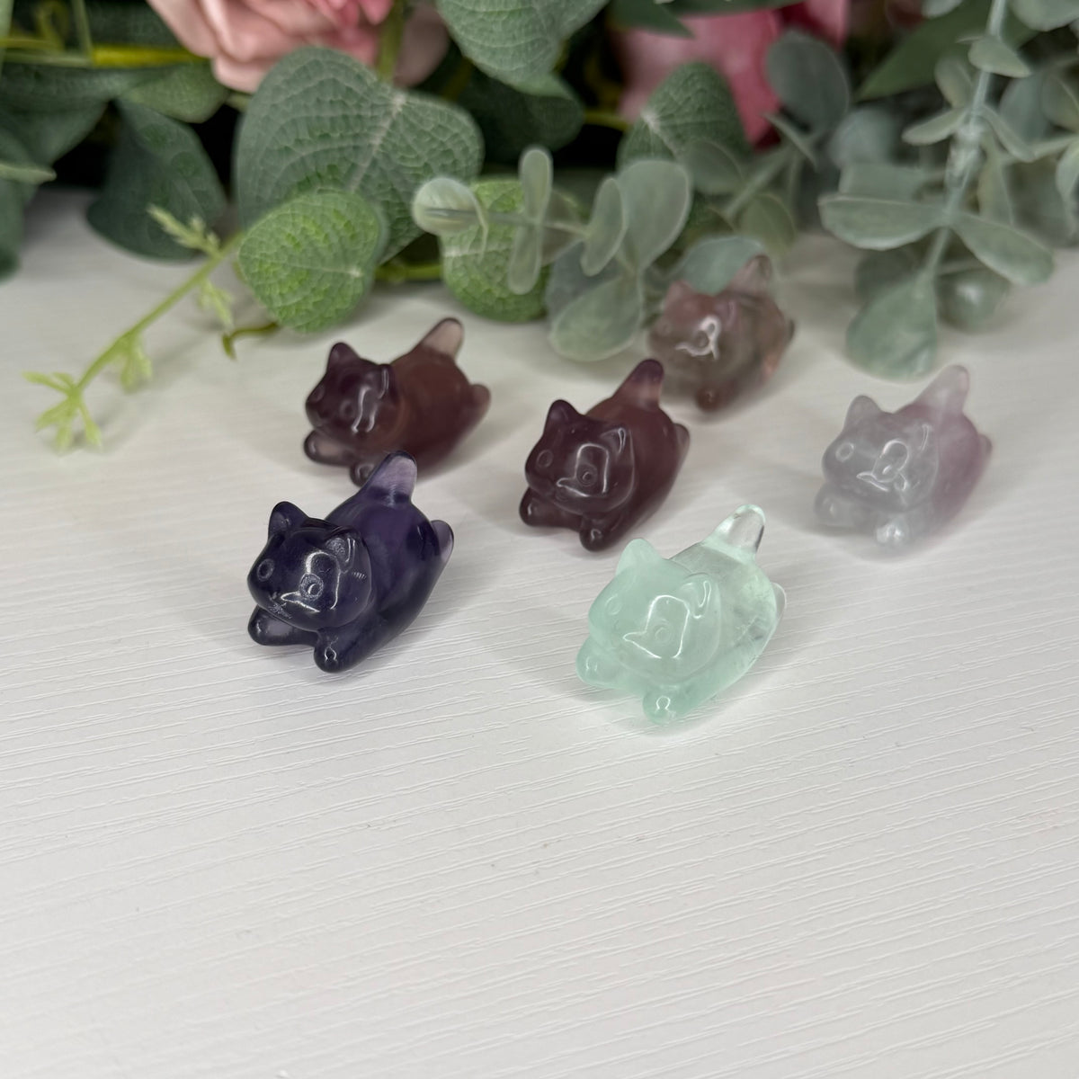 Fluorite Rocking Kitty