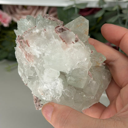 Green Apophyllite With Pink Chalcedony W