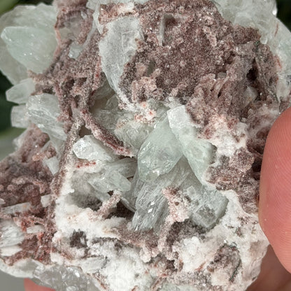 Green Apophyllite With Pink Chalcedony W
