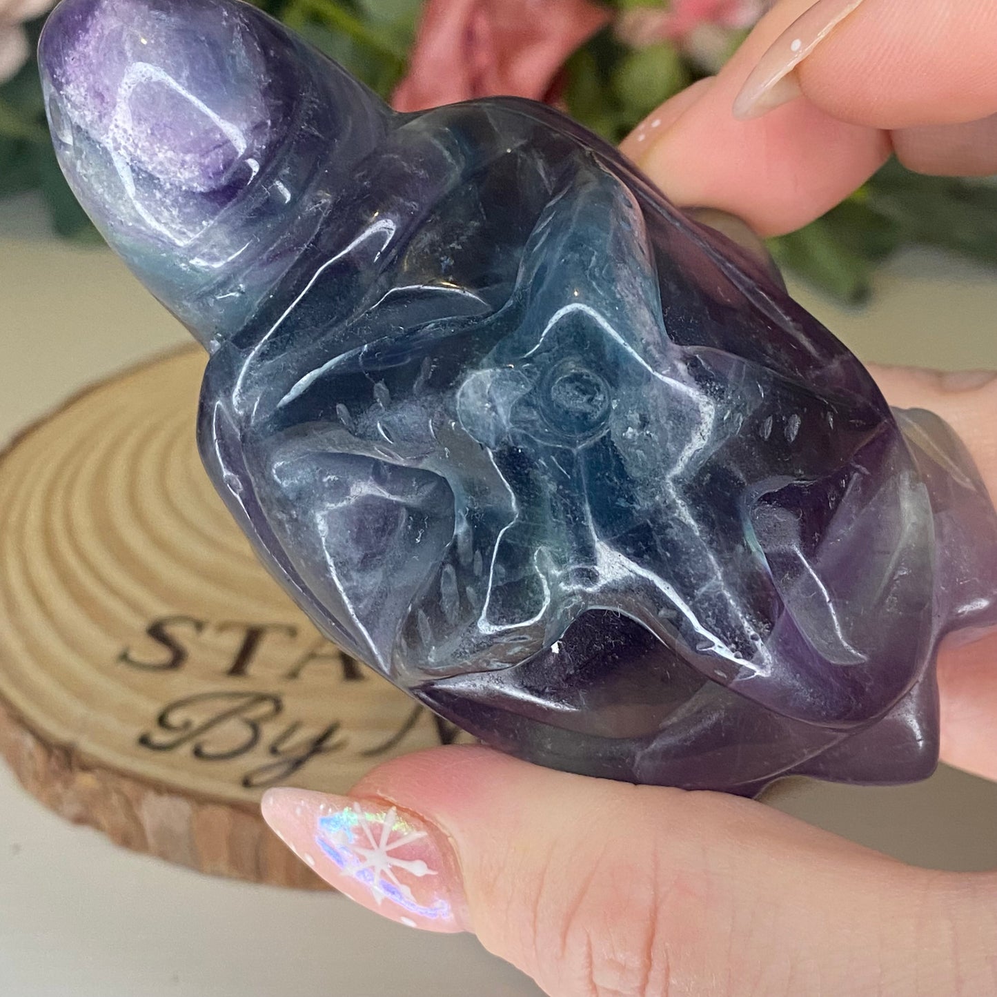 Fluorite Turtles with Sea Creatures