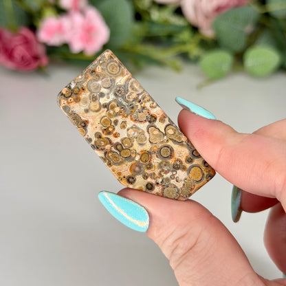 Leopard Skin Jasper Freeforms