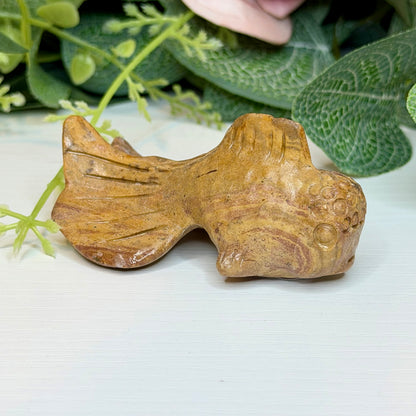 Jasper Fish