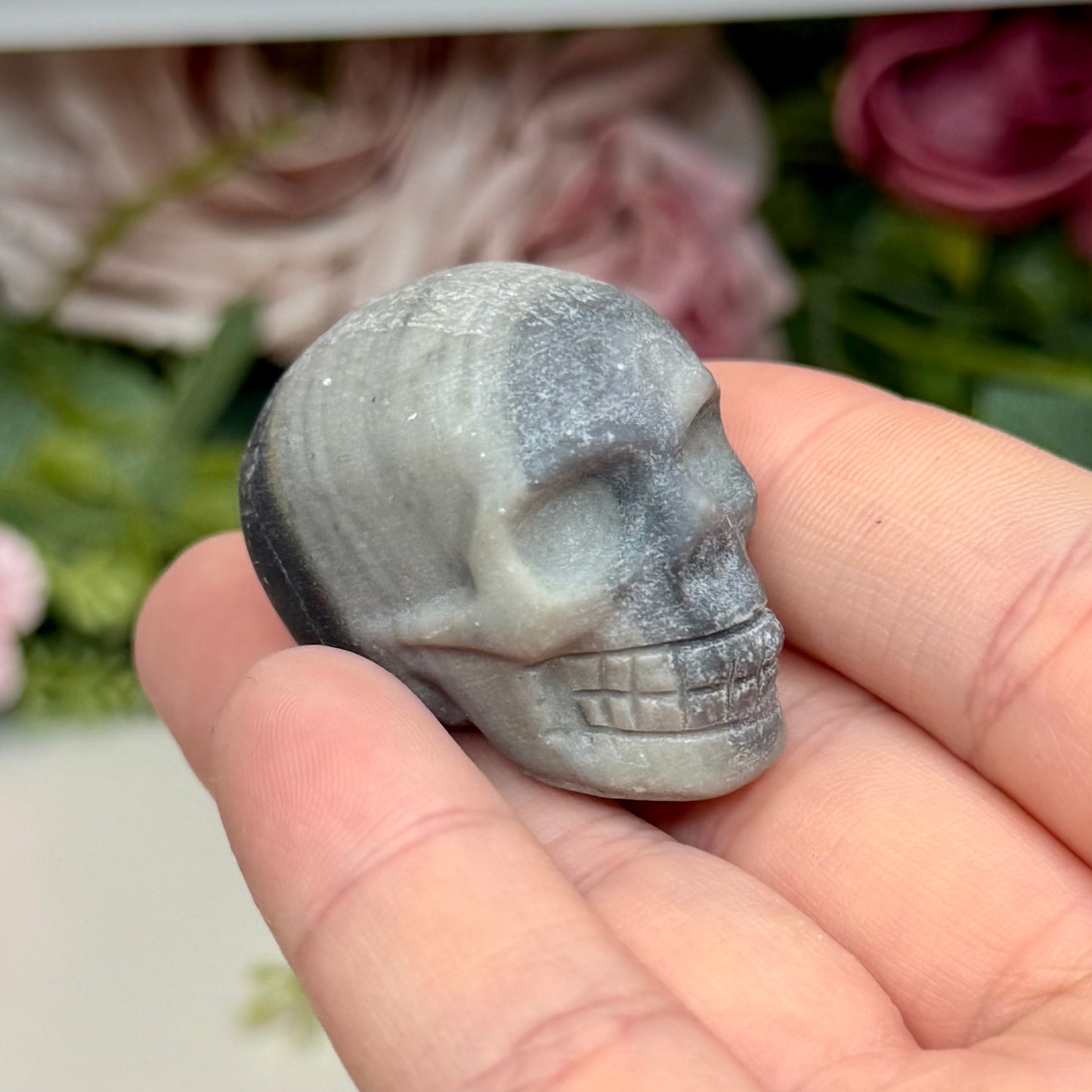 Tai Chi Skull