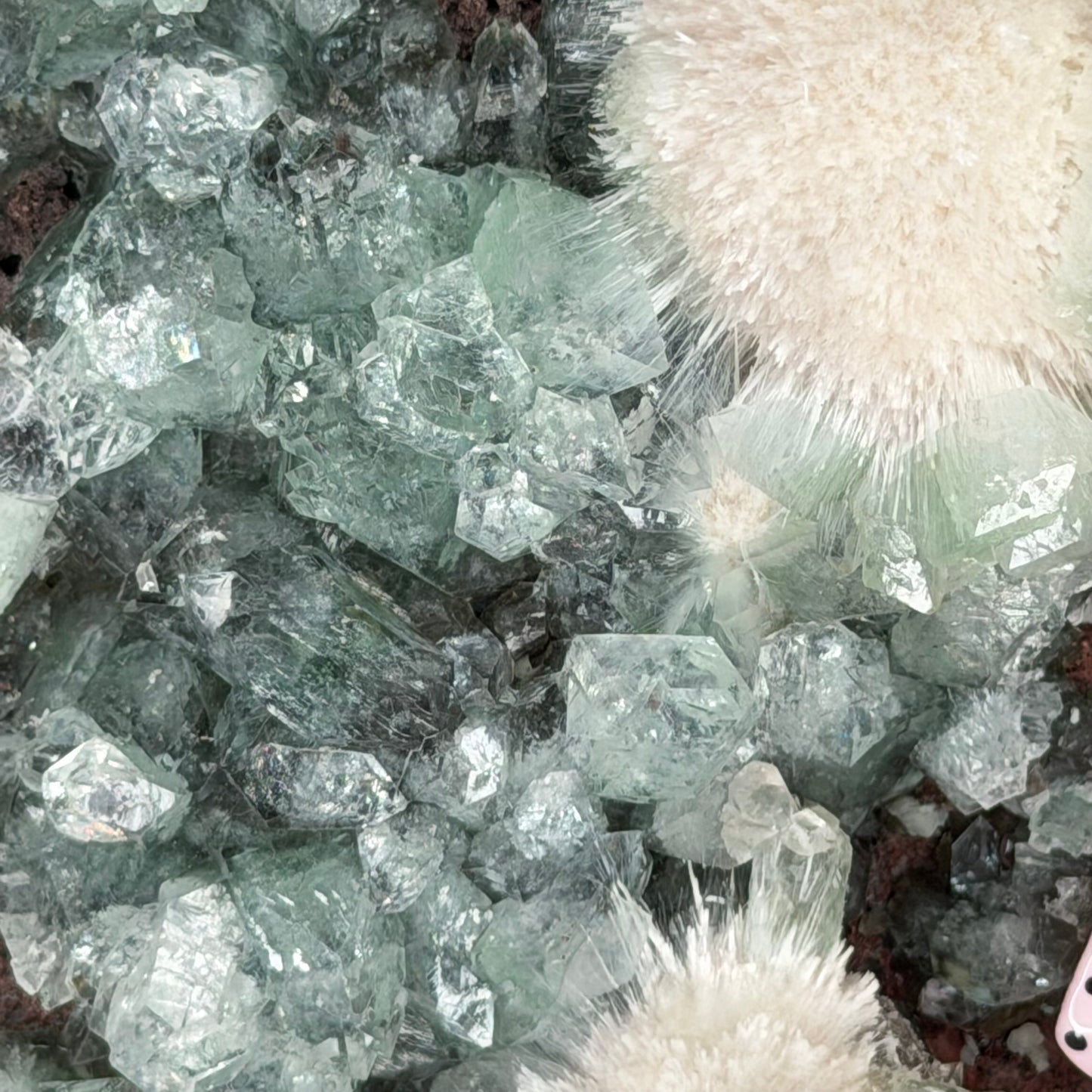 Green Apophyllite With Mordenite (1204g)