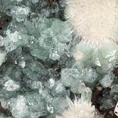 Green Apophyllite With Mordenite (1204g)
