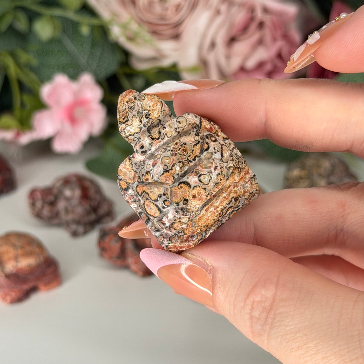 Leopard Skin Jasper Tortoise