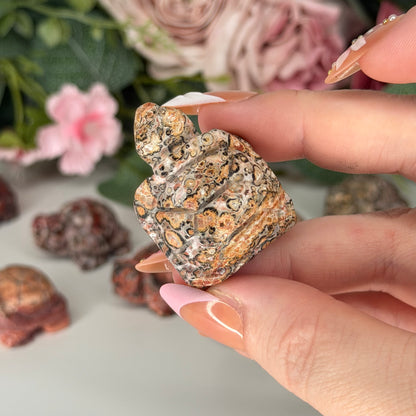 Leopard Skin Jasper Tortoise