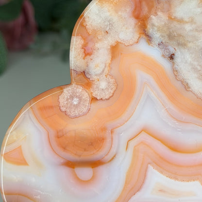 Carnelian Flower Agate Dish E
