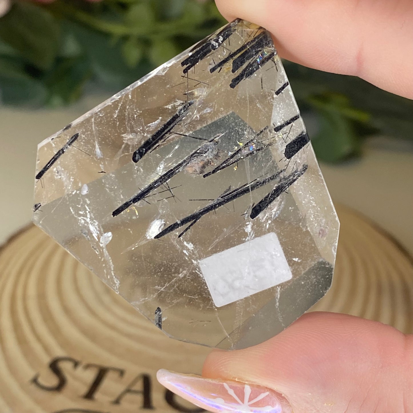 High Quality Tourmaline in Quartz Freeforms