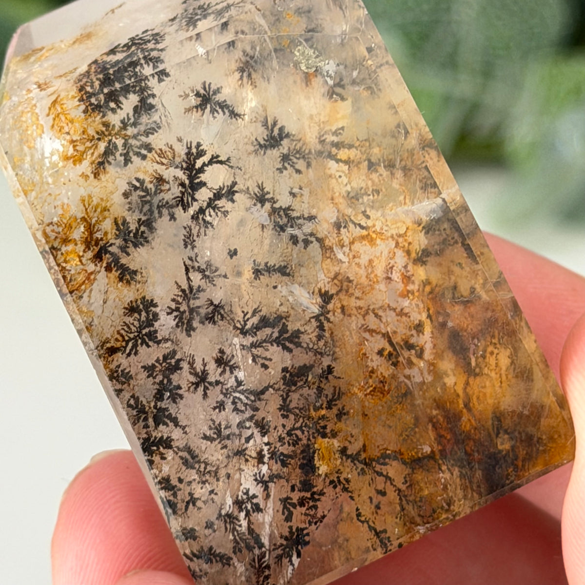 Dendritic Quartz Freeform