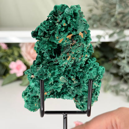 Velvet Malachite With Stand