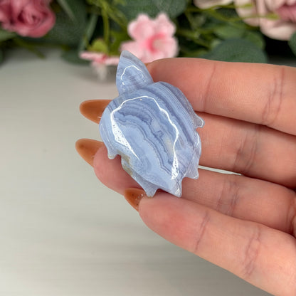 Blue Lace Agate Turtles
