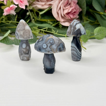 Gobi Agate Mushrooms