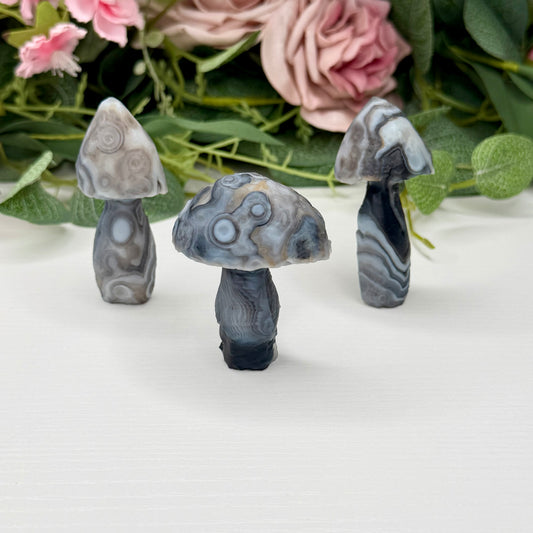 Gobi Agate Mushrooms
