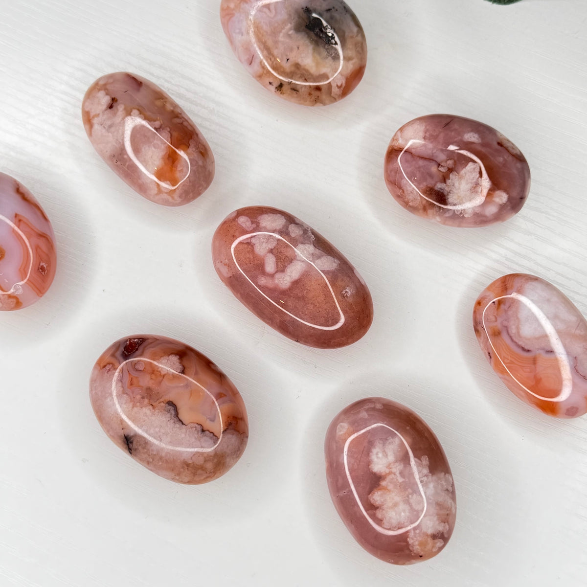 Carnelian Flower Agate Palmstone