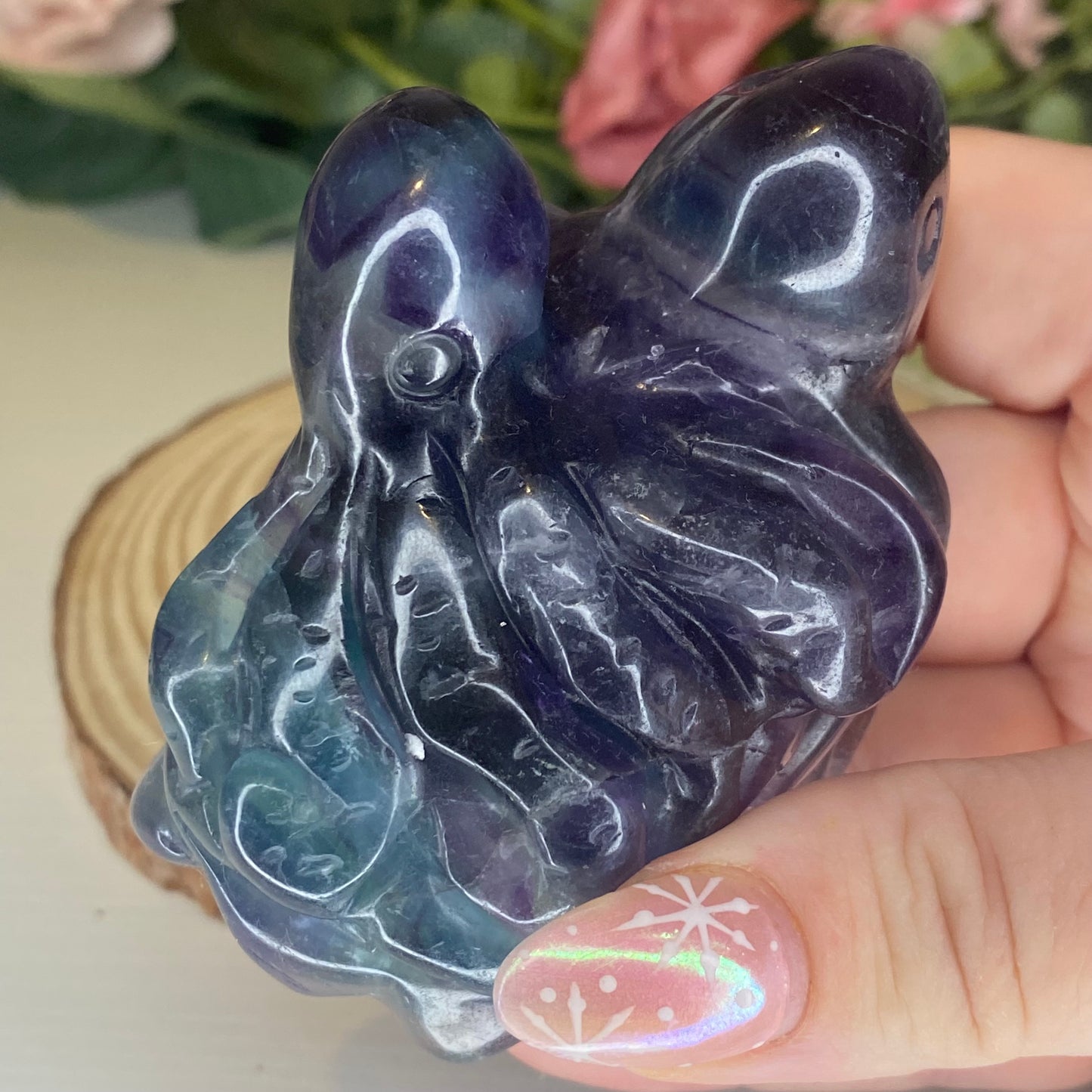 Fluorite Turtles with Sea Creatures