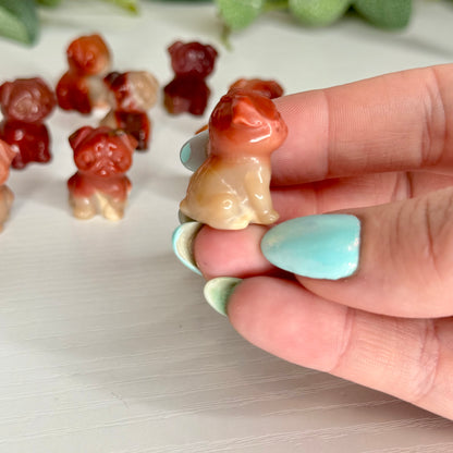 Mookiate Pugs