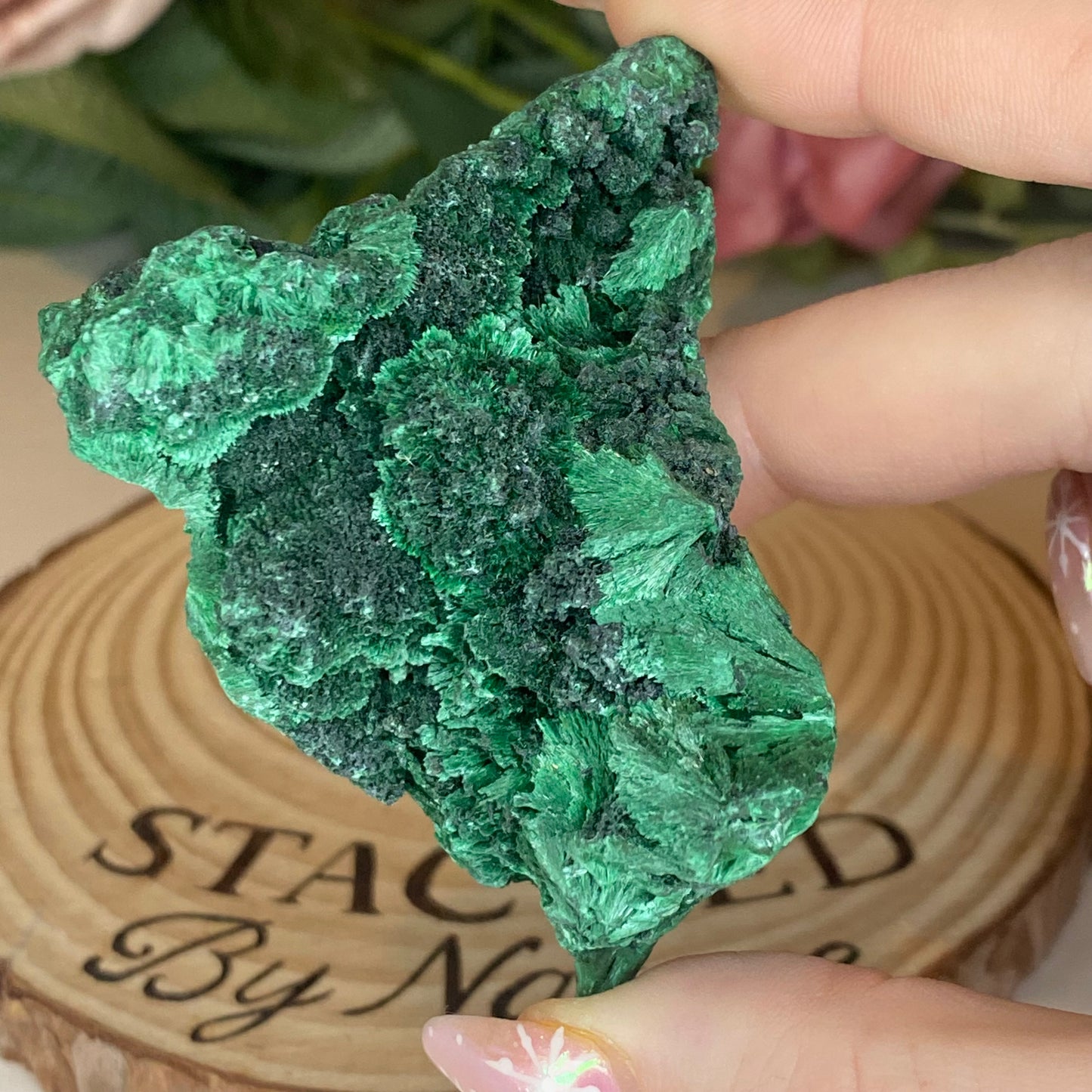 Velvet Malachite