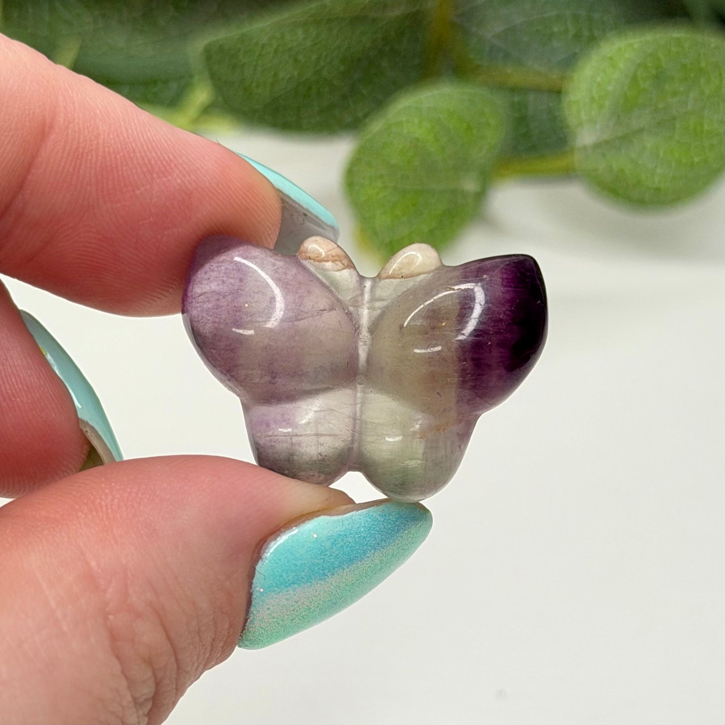 Fluorite Butterfly’s