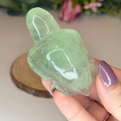 Fluorite Turtles