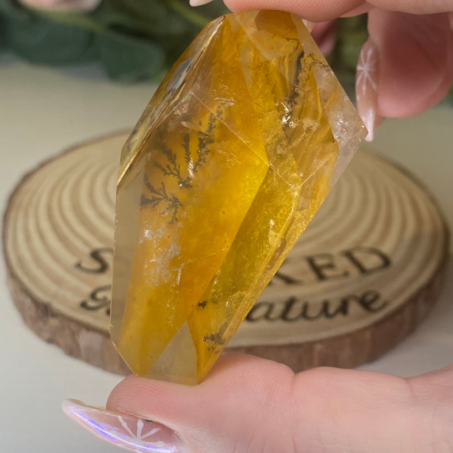 Dendritic Quartz Freeforms