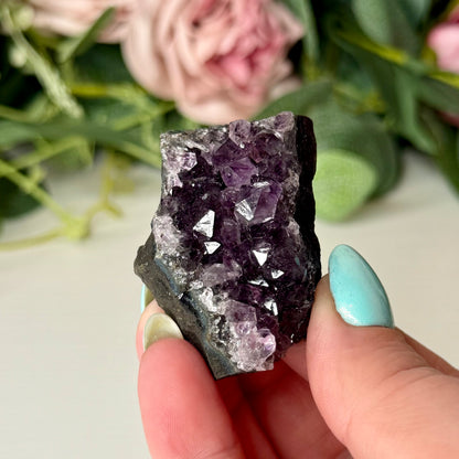 Amethyst Clusters