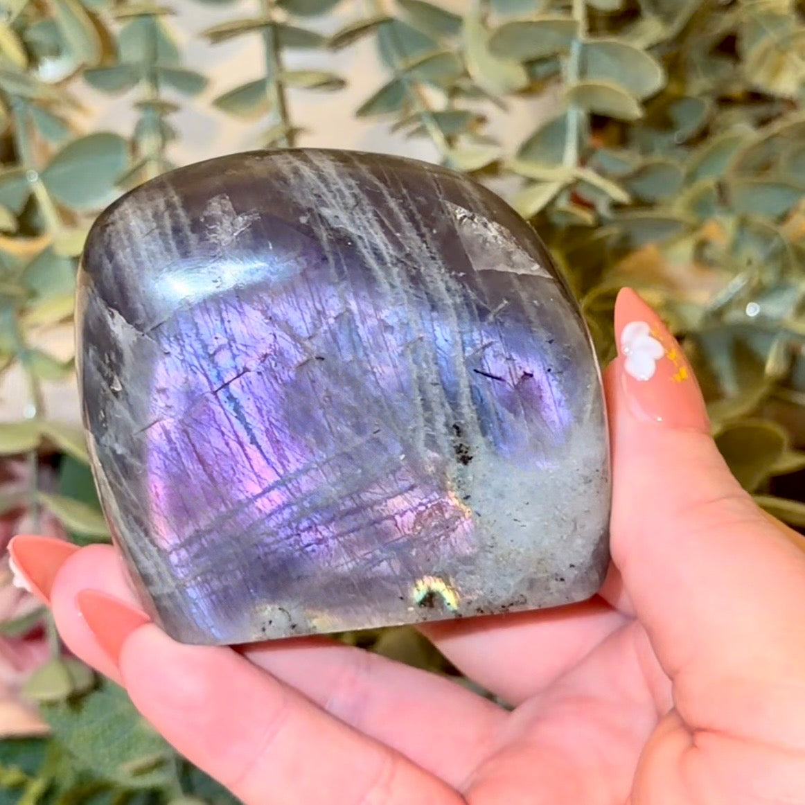 Labradorite Freeforms