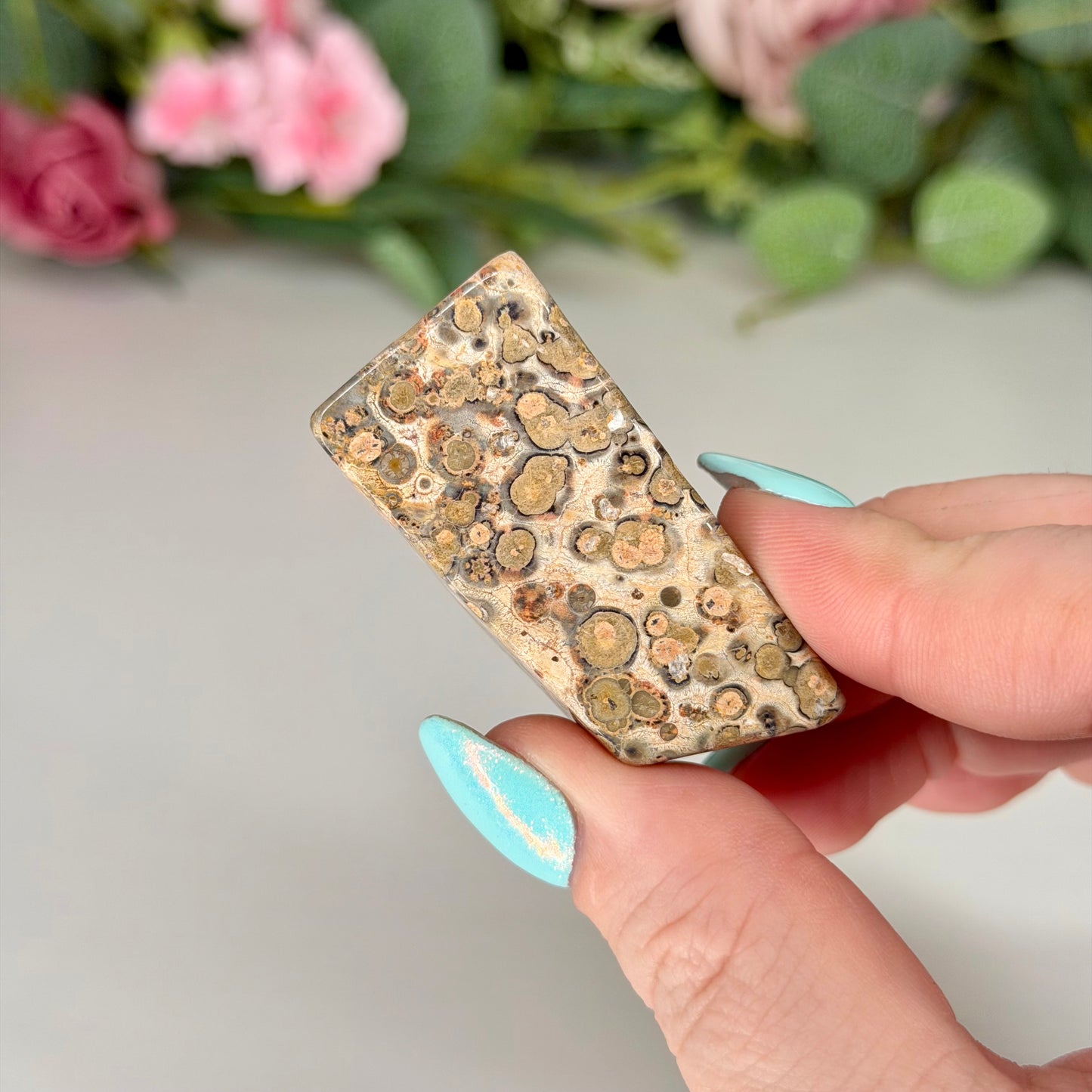 Leopard Skin Jasper Freeforms