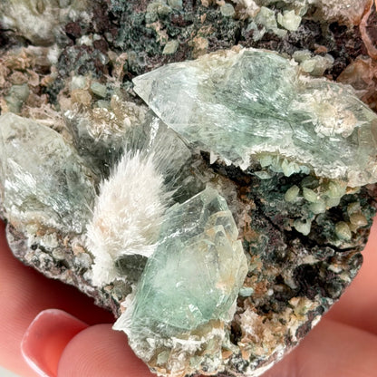 Green Apophyllite With Mordenite AN
