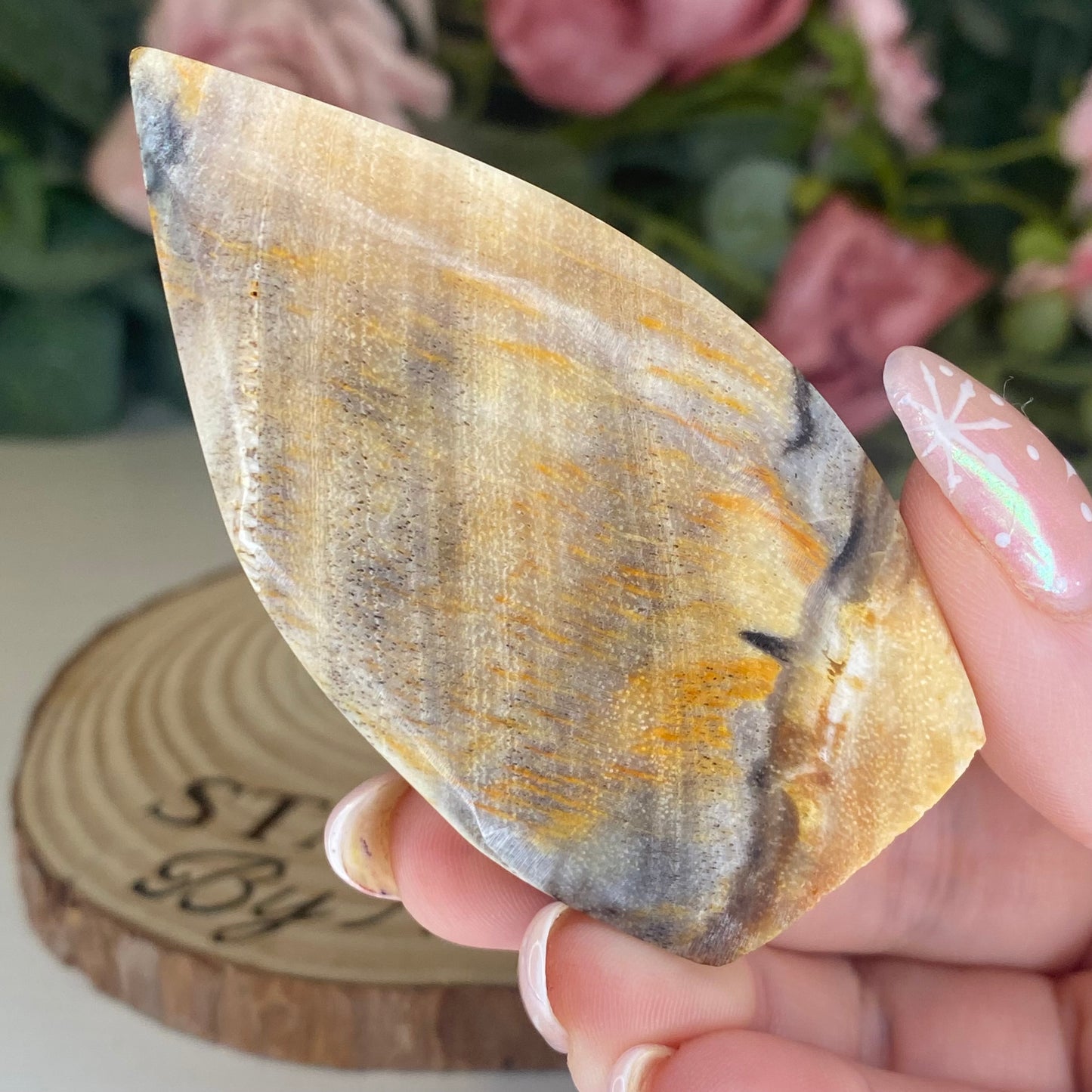 Petrified Wood Teardrops