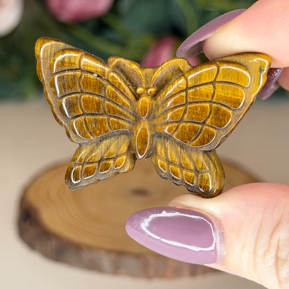 Tigers Eye Butterfly