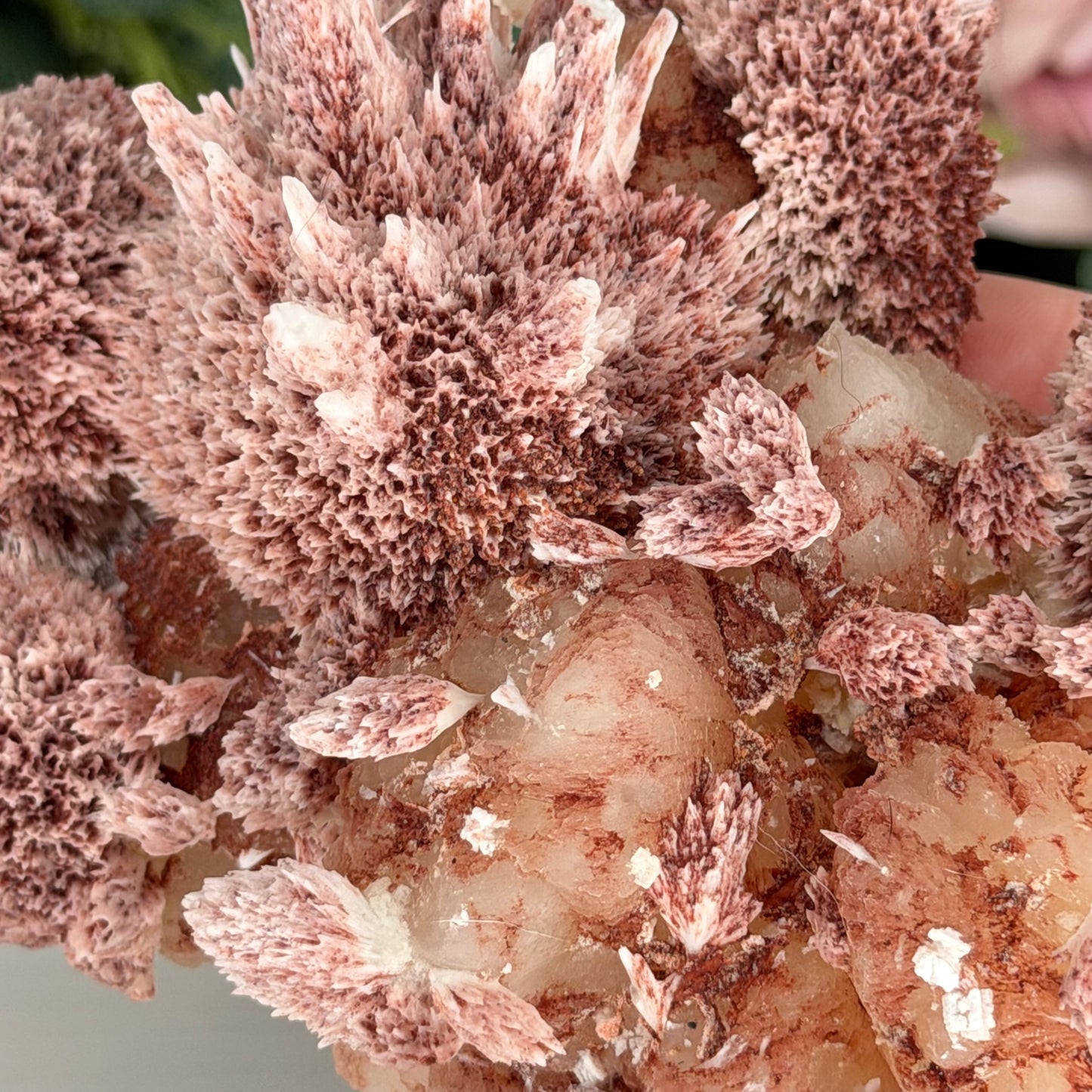 Pink Mordenite On Stilbite