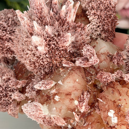 Pink Mordenite On Stilbite