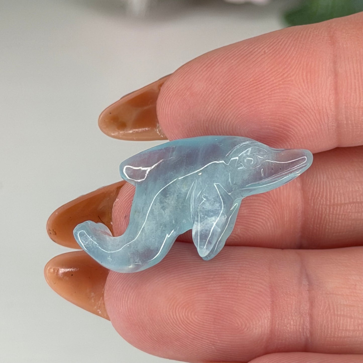 Aquamarine Dolphin