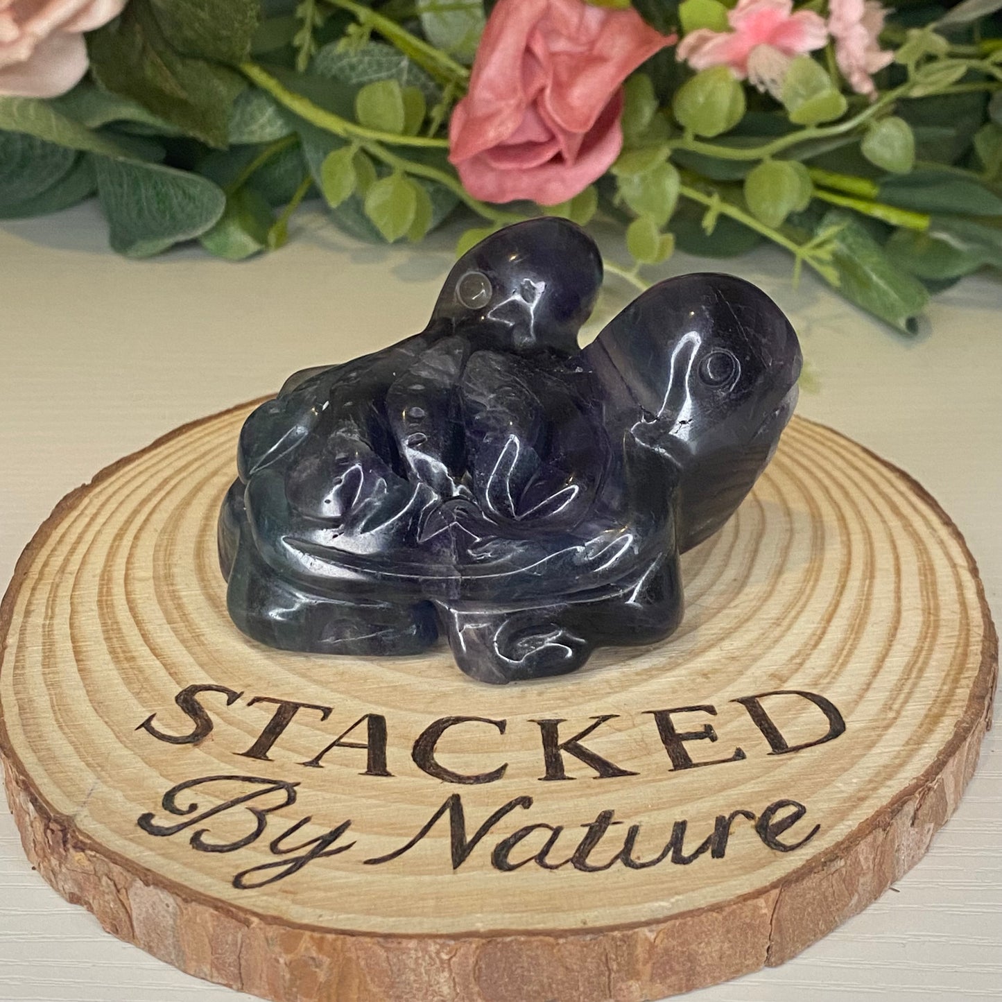 Fluorite Turtles with Sea Creatures