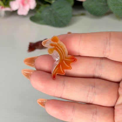 Mini Agate Fish