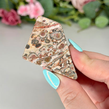 Leopard Skin Jasper Freeforms