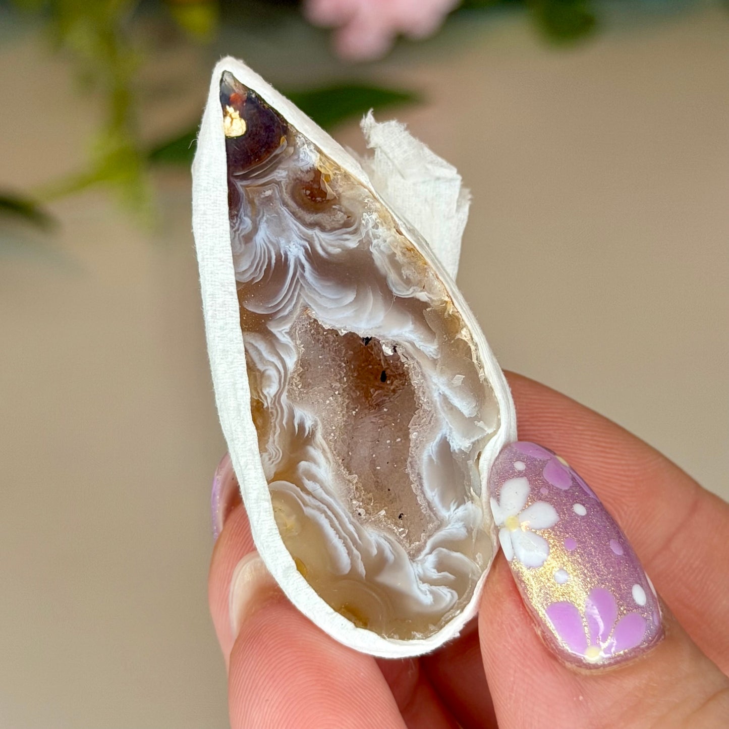 Brazilian Agate Geode (Intuitively Chosen)