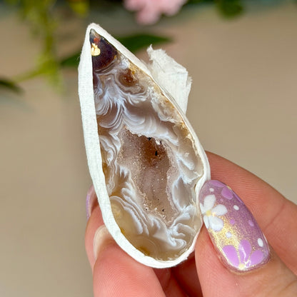 Brazilian Agate Geode (Intuitively Chosen)