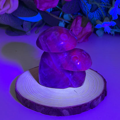 Black Rose Fluorite Mushrooms