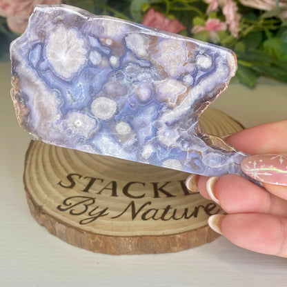 Blue Flower Agate Freeforms