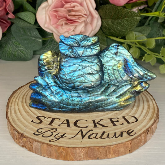 Labradorite owl