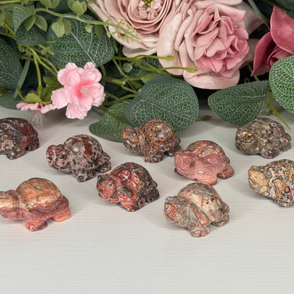Leopard Skin Jasper Tortoise