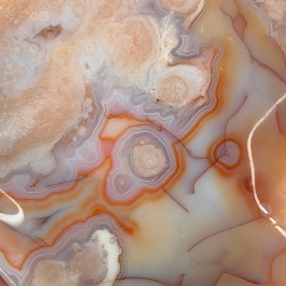 Carnelian Flower Agate Dish D