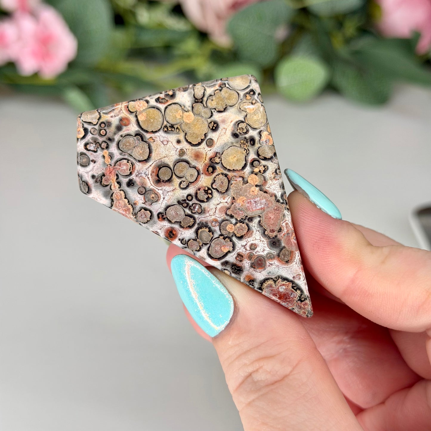 Leopard Skin Jasper Freeforms