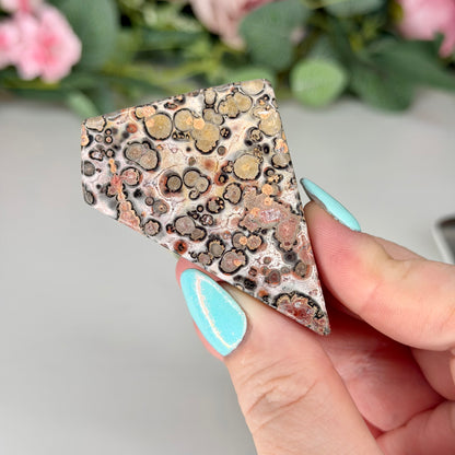 Leopard Skin Jasper Freeforms